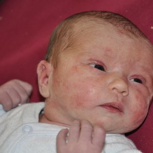 Joséphine Wermeille